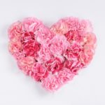 婚活で悩める女性のバイブルになるか！？「あのこは貴族」