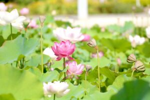 婚活成功のための3つのスピリチュアルアプローチ：心を整え、理想の相手を引き寄せる方法