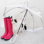 「浄化と再生」の梅雨の季節到来！婚活運を高める5つのアクション