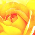 10月6日の最強開運日を逃した人もまだ間に合う！2025年幸運を呼ぶ残りの吉日