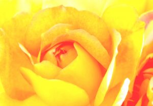 10月6日の最強開運日を逃した人もまだ間に合う！2025年幸運を呼ぶ残りの吉日